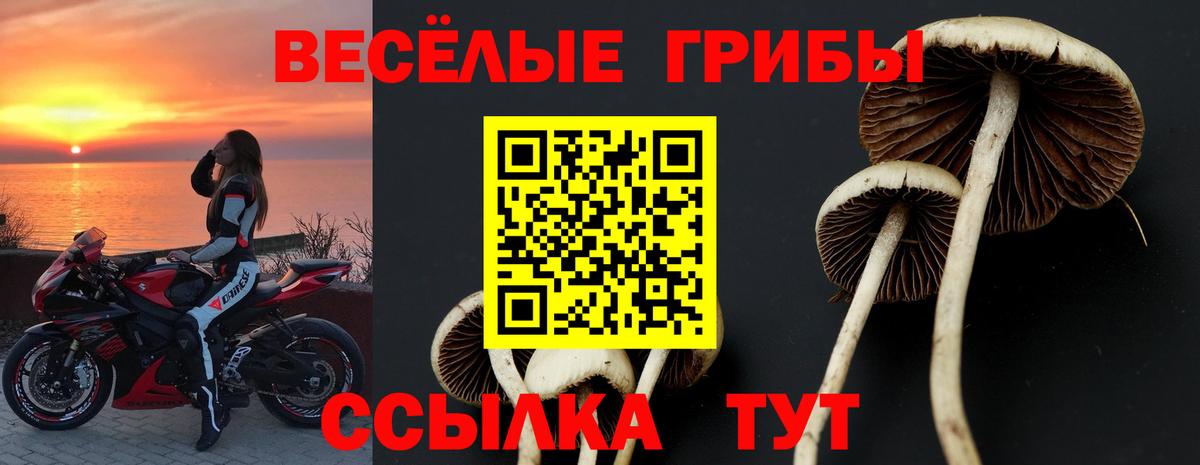 Псилоцибиновые грибы Magic Shrooms  Вход с VPN  Ростов-на-Дону  Галлюциногенные грибы GOLDEN TEACHER 